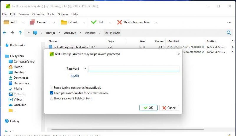 Как добавить пароль к текстовым файлам в Windows 11/10