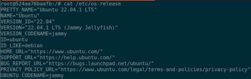 Как запустить Ubuntu как контейнер Docker