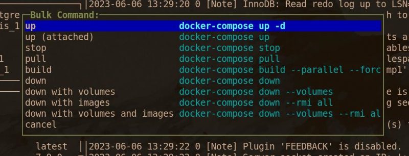 Как легко управлять контейнерами Docker с помощью lazydocker
