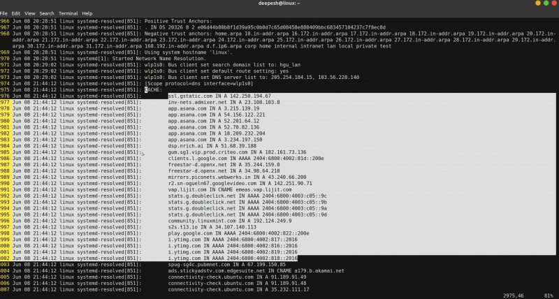 Как просмотреть и очистить кеш DNS в Linux