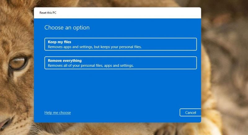 How to Fix the “System Call Failed” Error on Windows 10 & 11