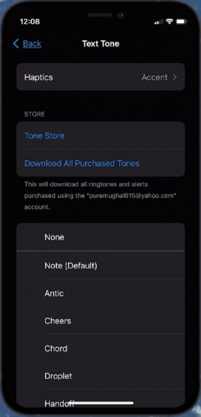 Change Notification Sound on iPhone - iOS 17 Tutorial