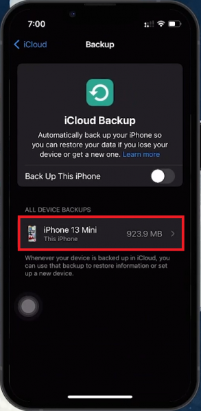 How To Check Call History on iPhone After Deleted - Tutorial